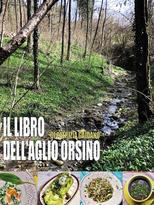 cover image of Il libro dell'aglio orsino